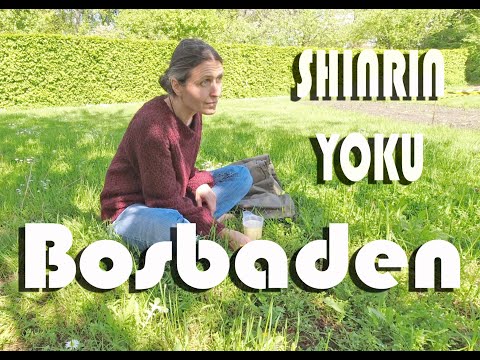 SHINRIN-YOKU | SKOVBADE | VRIJBROEKPARK MECHELEN | 2021