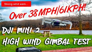 Mini 2 High Wind Test Plus Gimbal Test!