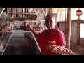 Farming Made Simple Chicken Farming Ni Rahisi Na Iko Na Faida Jiunge Nasi On Mkulima At 4 30pm Farming Made Simple Chicken Farming Ni Rahisi Na Iko Na Faida Jiunge Nasi On Mkulima At 4 30pm
