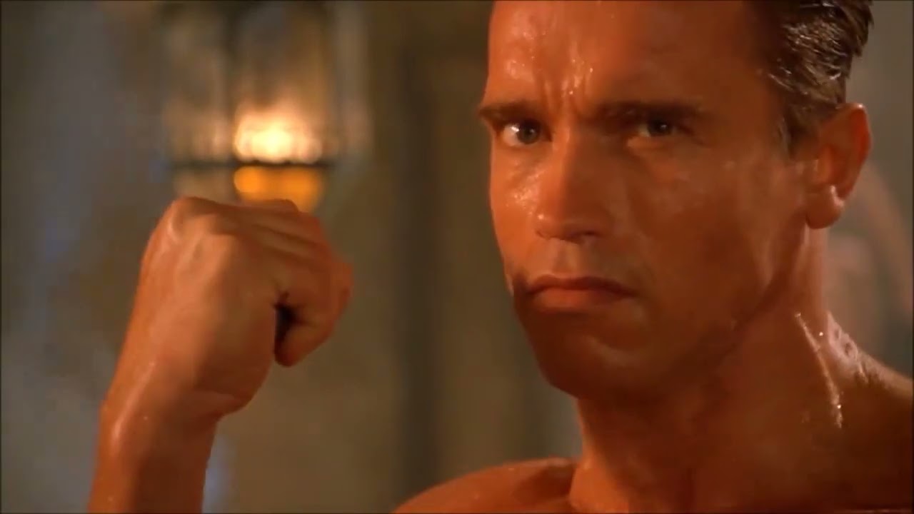 ARNOLD SCHWARZENEGGER fight scenes reverse !!!