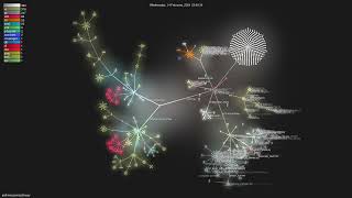 pathwaycom/pathway - Gource visualisation