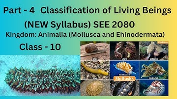 Classification of Living Beings Class_10(SEE) [ Part 4 ] Kingdom Animalia: |Science and Technology|