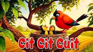 Cit Cit Cuit Lagu Anak Kartun Animasi Lagu Anak Indonesia Populer