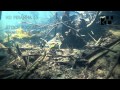 Piranha Stock HD Video Footage 12
