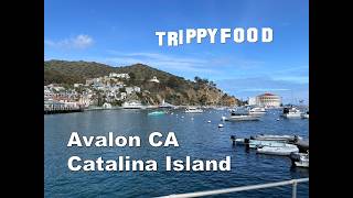 Road Trip: Avalon CA, Catalina Island #Catalina #California #roadtrip #travel #Avalon