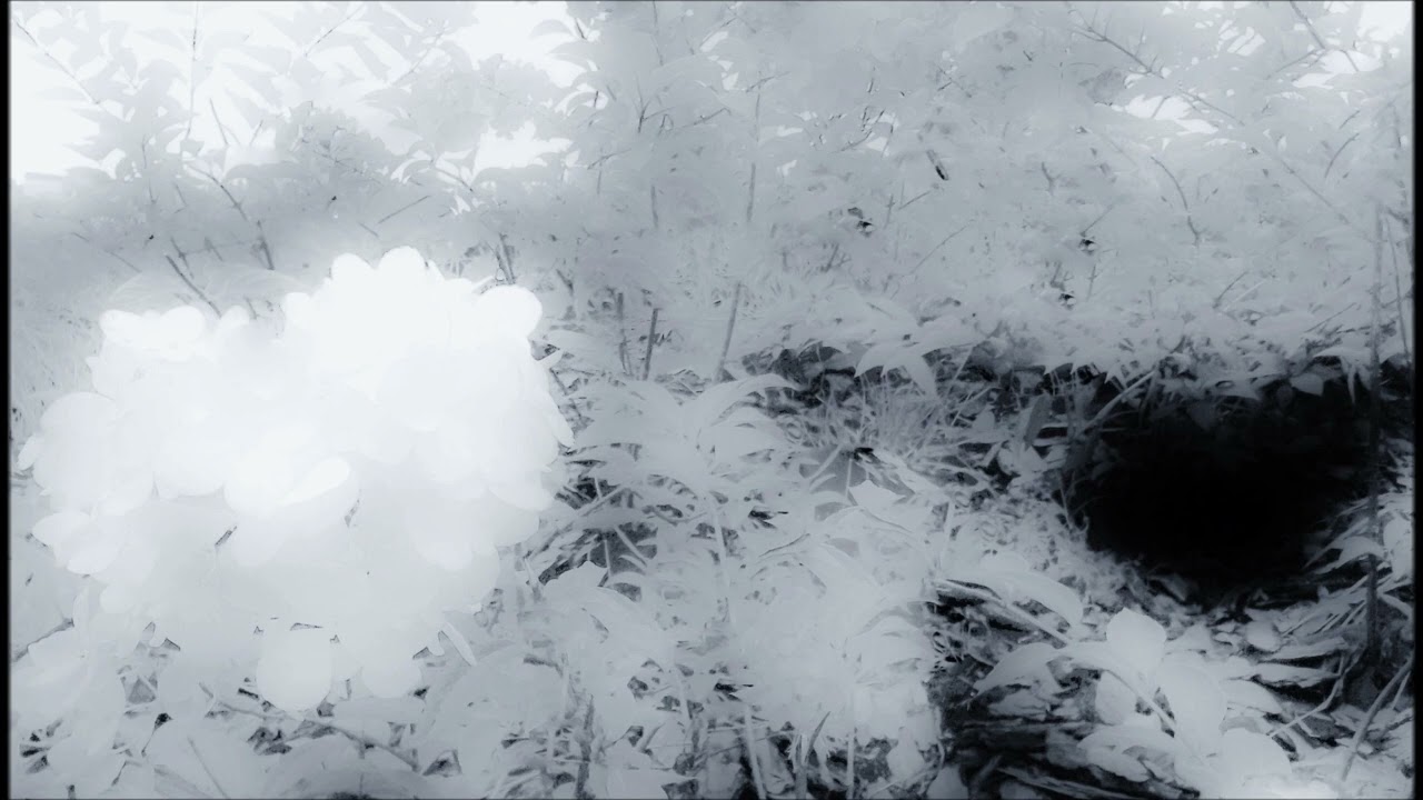 Моя сетевая галерея 59 (My network gallery 59)