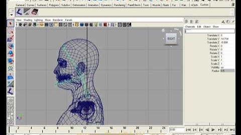 Character Setup in Maya Part 7 (Urdu-Tutorial)