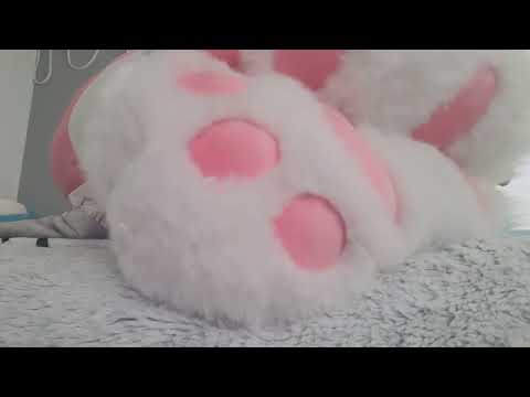 paw play