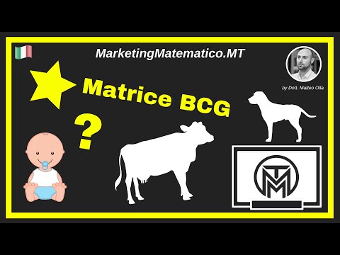 Marketing Matematico: Matrice BCG (Boston Consulting Group) + Modello Gratuito in Excel