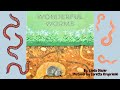 Wonderful Worms - Read Aloud