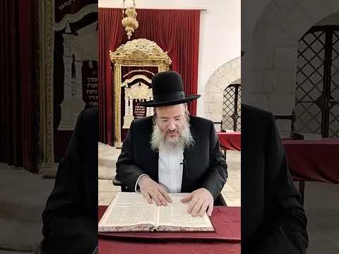 הלכות בכור | הגר''א ברי''ט זילברמן שליט''א - ל באב. ר''ח אלול