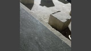 Download Lagu Sungai derita MP3