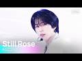 Still Rose 어센트 ASC2NT SBS 260301 방송