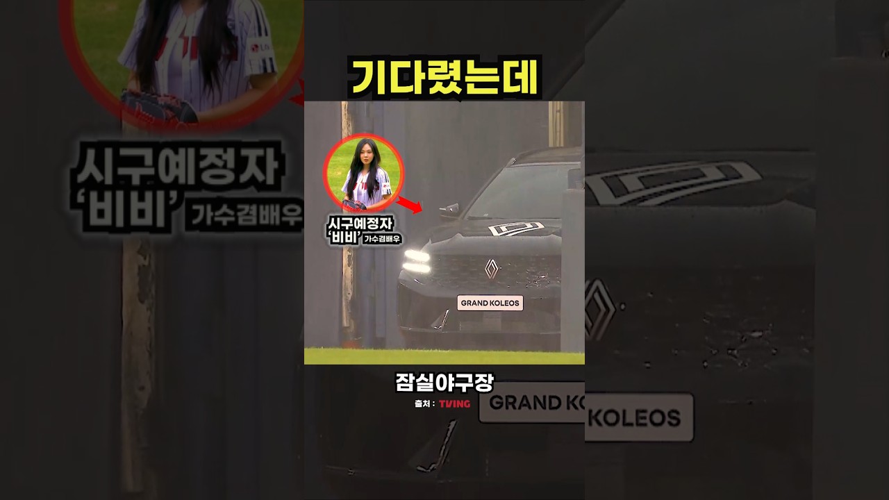 응원하는 야구팬들이 가장 아쉬워할 하루 #야구 #프로야구