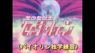 「ムーンライト伝説」(バイオリン独学練習)美少女戦士セーラームーンOP 「ムーンライト伝説」(バイオリン独学練習)美少女戦士セーラームーンOP