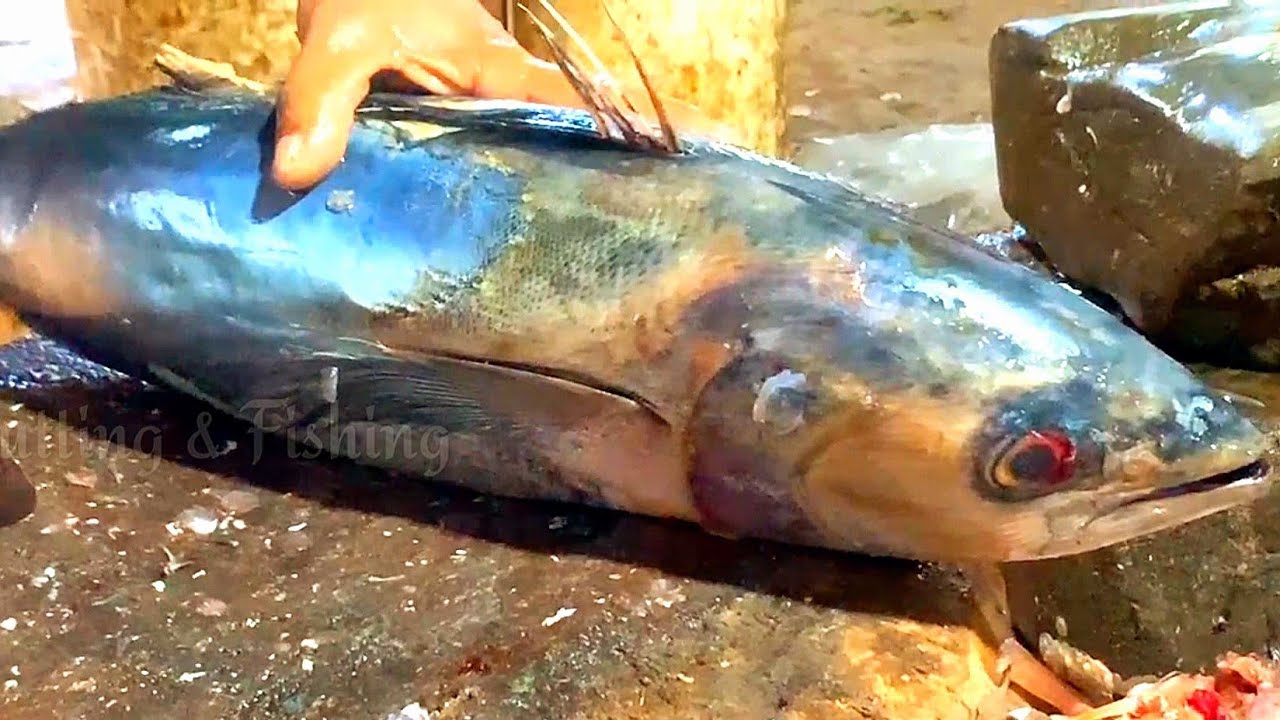 Amazing Tuna Fish Cutting Most Beautiful Skills Big Tuna Fish Cutting