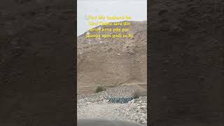 #nubra to pangong