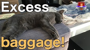 All Aboard Episode 4 - Packing our way to narrowboat living