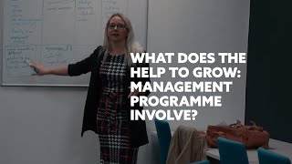 What does the Help to Grow: Management programme invlove?