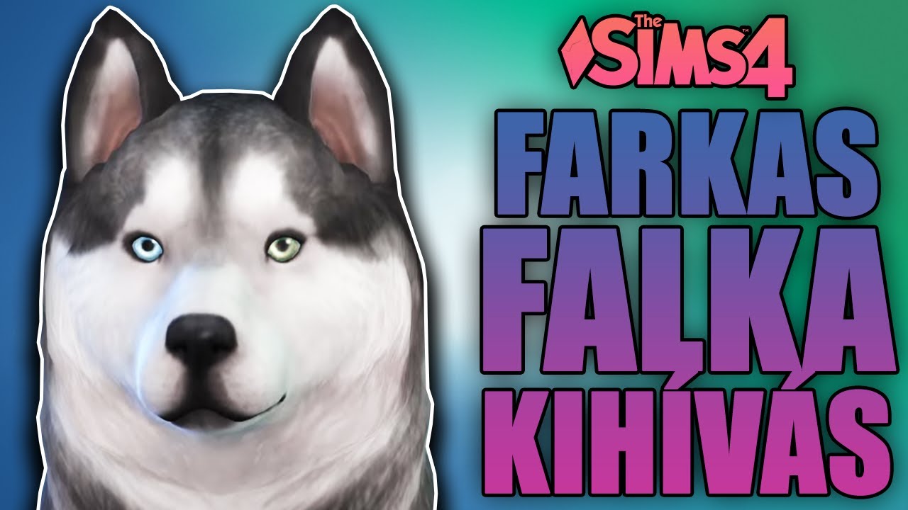 FARKAS FALKA KIHÍVÁS! 🐺 - The Sims 4