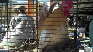 Ocala's I-75 Super Flea Market