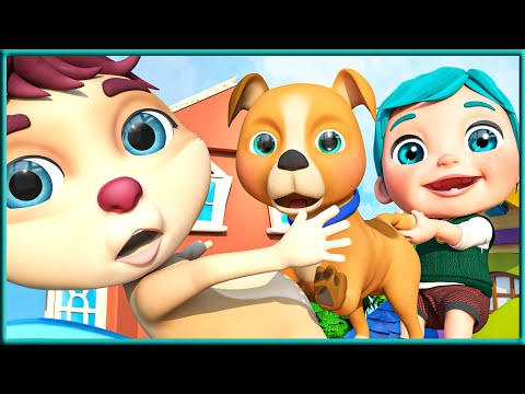Bingo Friend - Amazing Songs for Children | Viola Kids - Sign Language For Kids - ASL [HD]