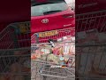 Fomos fazer compras na Alemanha #shorts