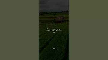 آية الكرسي القارئ الشيخ ماهر المعيقلي ارح سمعك .  #ماهر_المعيقلي #اكسبلور #قرآن