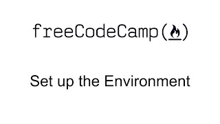 Set up the Environment - Advanced Node and Express - Quality Assurance Certification - freeCodeCamp