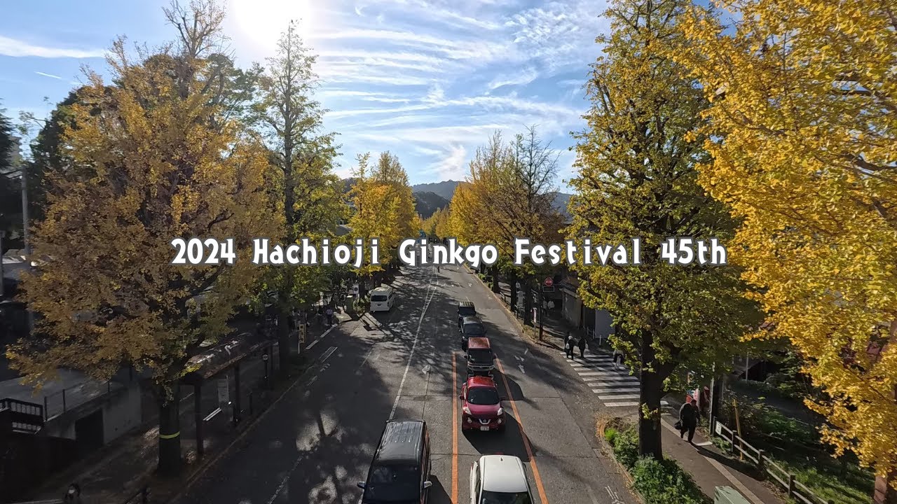 【4K東京・八王子】2024八王子いちょう祭り／Hachioji Ginkgo Festival 45th
