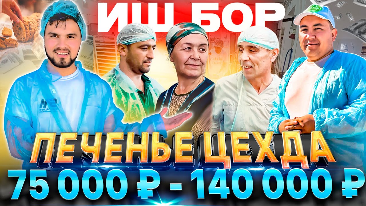 ИШ БОР! ПЕЧЕНЬЕ ЦЕХДА (ОЙЛИГИ 75 000 ₽ - 140 000 ₽)