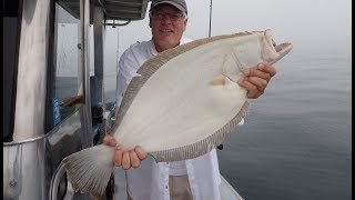 Fluke (Summer Flounder) Fishing - Stay or Move?