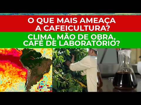 O QUE TE ASSUSTA MAIS, CAFEICULTOR? CLIMA, MÃO DE OBRA, CAFÉ DE LABORATÓRIO..