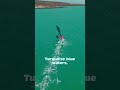 Being back in the turquoise waters of Fuerteventura reminds me of one of my favourite places on e...