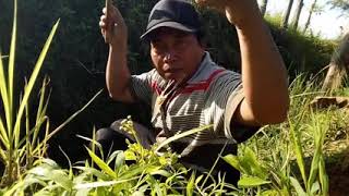 Mancing Udang Kecil 30.10.22