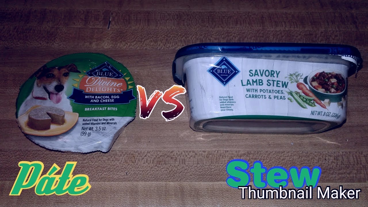 Lucy The Talking Dog S3 Ep18 Páte VS Stew YouTube