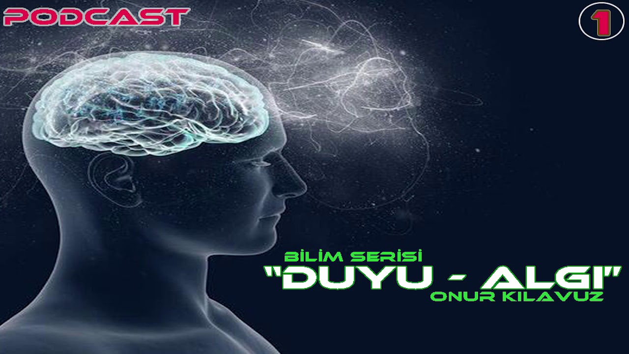 Bilim Serisi 1: Duyu & Algı