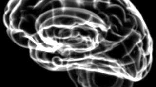 Trailer GeheugenSpel screenshot 5