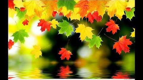 TOEIC LISTENING TEST 1- PART 3