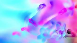 Blue And Pink Abstract Flowers Free HD Video Clips & Stock Video