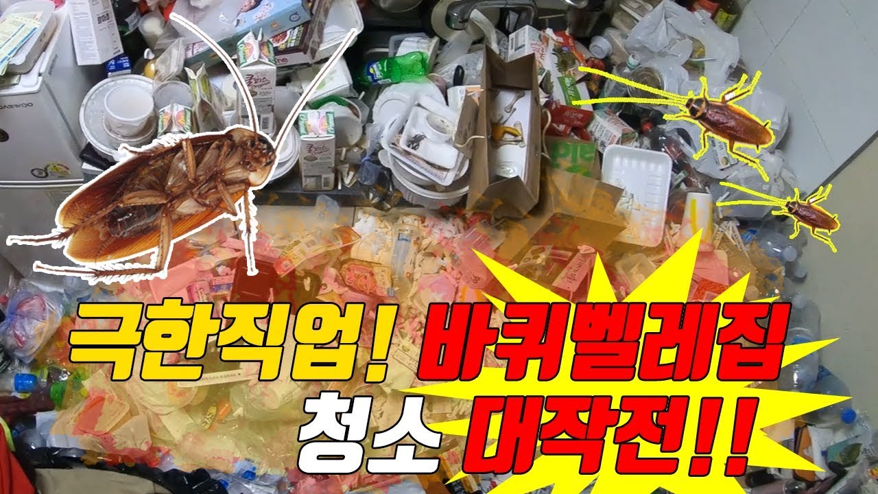 [청소]극한직업! 바퀴벌레/쓰레기집 청소!! [cleaning] extreme job! cleaning cockroach ...