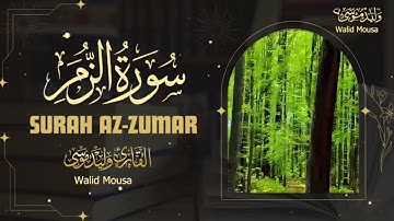 تلاوة مؤثرة من سورة الزمر تبعث الطمأنينة وتضيء ليالي الإيمان | Surah Az-Zumar Emotional Quran Nights