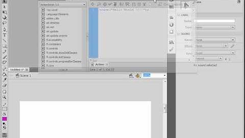 Flash ActionScript 3.0 Part-1 (trace and Comment)