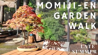 Momiji-En Japanese Maple Garden Walk (Late Summer)