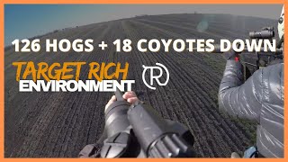 126 Hogs + 18 Coyotes Down | Target Rich Environment