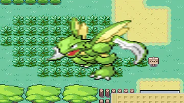 What abilities can Scyther have?