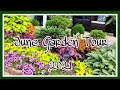 June Garden Tour 2021👩🏾‍🌾| Backyard Extension | Garden zone 7b