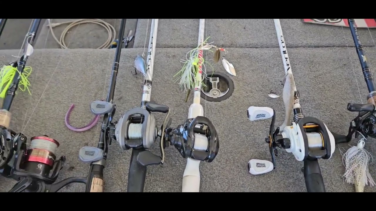 Clearlake fishing report 10-24-24#rbbass #bassfishing #fishing