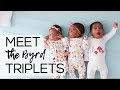 Meet The Byrd Triplets | Name Reveal