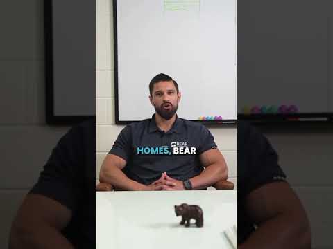 Discover What Sets Bear Windows Apart from the Rest ????????